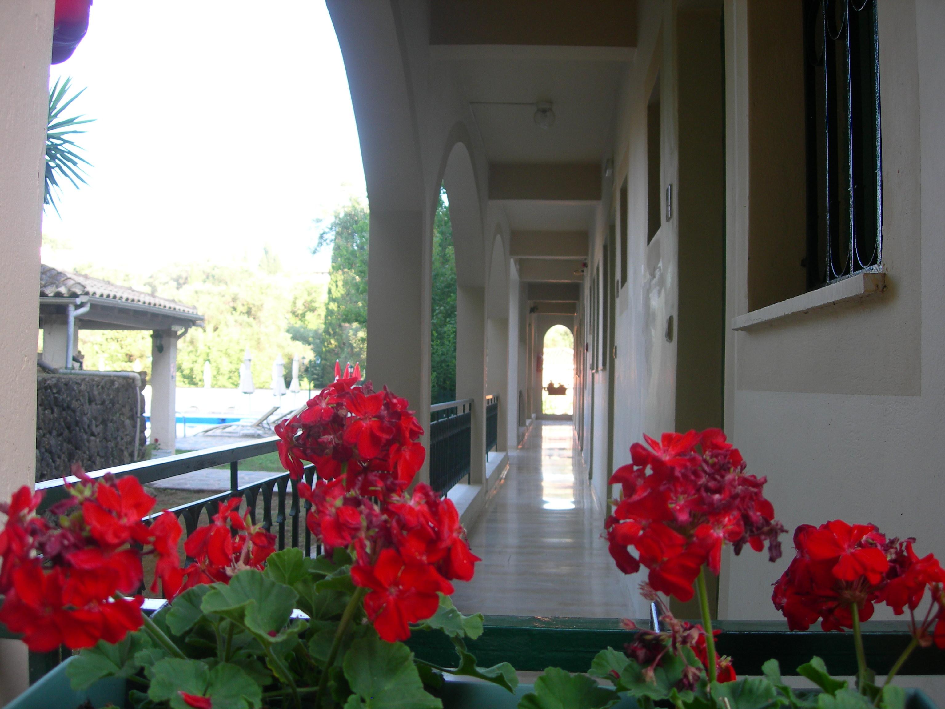 Villa Karmar Hotel Apartments Δασιά Εξωτερικό φωτογραφία